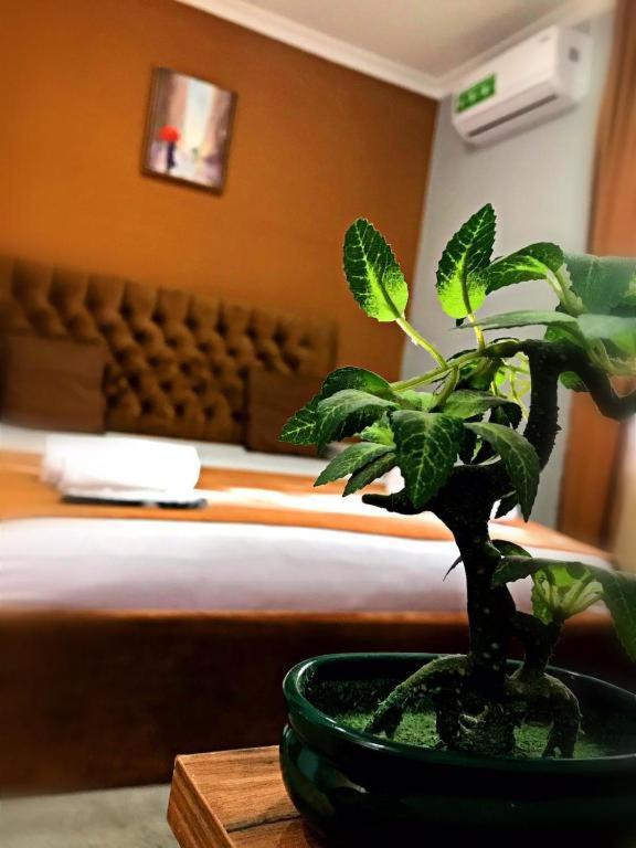 Geo Hotel Tbilisi Bagian luar foto